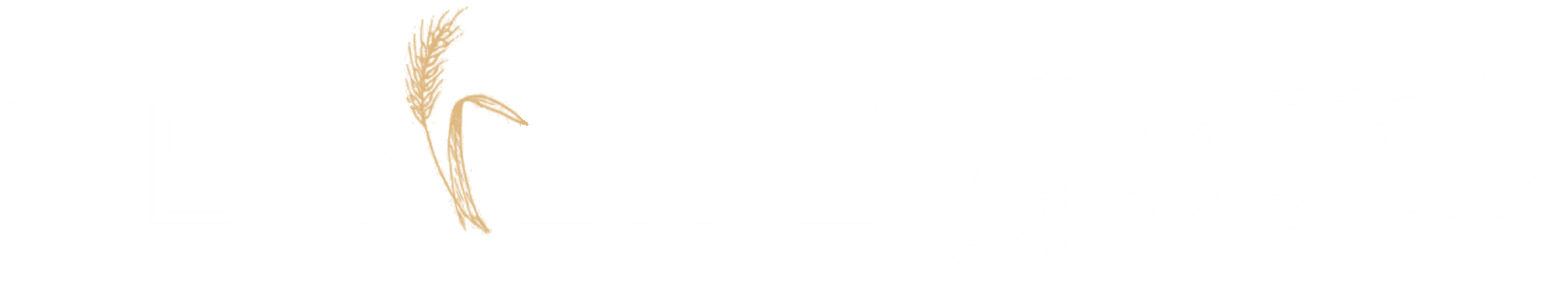 New Life Apostolic Church